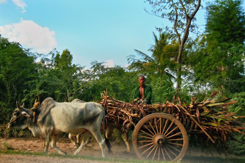 Imagen 65 de la galería de Myanmar